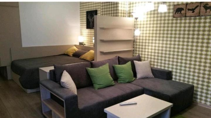 דירות Apartament Aosta Central סינאיה מראה חיצוני תמונה